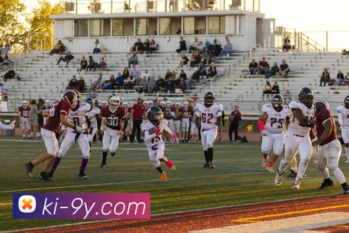 九游官网APP 封面图